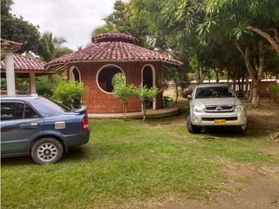 Terreno / Solar - Carmen de Apicalá, Colombia