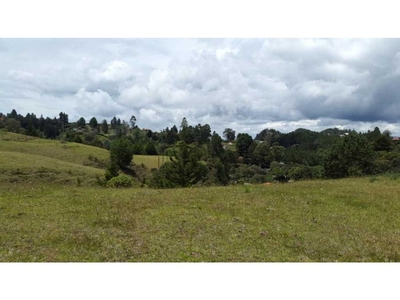 Terreno / Solar de 9862 m2 - Envigado, Departamento de Antioquia
