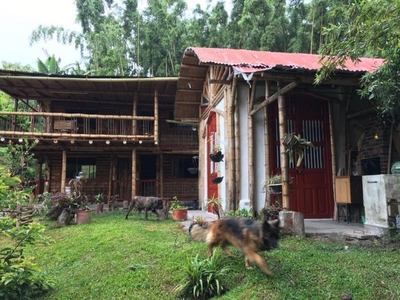 Casa en Venta en Centro, Salento , Quindio