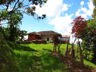 Finca En Venta Sonsón Antioquia 5 Hectáreas Espectacular Vista.