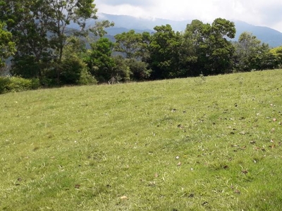 Terreno en Venta en Centro, Palmira , Valle Del Cauca