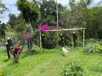 Vendo O Permuto Finca Silvania Cundinamarca