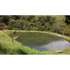 Venta Finca En Girardota, Vereda La Holanda (lagos Para Truchas)