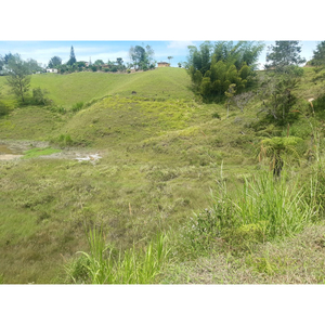 Venta Lote En Marinilla, Vereda El Rosario