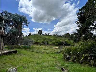 Lote Independiente en Guarne