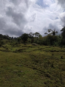 Lote en Venta en Guatapé, Antioquia