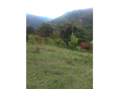 Cortijo de alto standing de 1320000 m2 en venta Concordia, Departamento de Antioquia