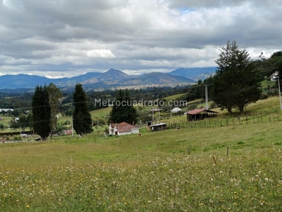 Finca en Venta, Vereda Santa Lucia