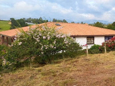 Lote o Casalote en Venta, Vereda El Verde