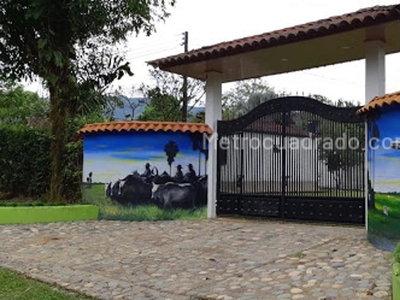 Finca en Venta, La Consolata