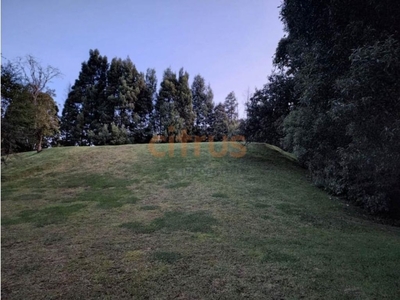 Terreno / Solar de 2900 m2 en venta - Envigado, Colombia