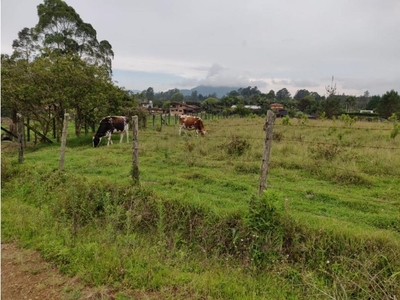 Terreno / Solar de 5291 m2 en venta - Rionegro, Departamento de Antioquia