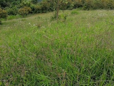 Finca en venta en Amagá