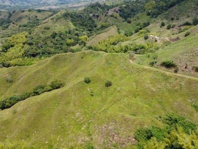 Finca EN VENTA