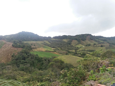 Lote Rural En Venta Municipio De Sonson Antioquia