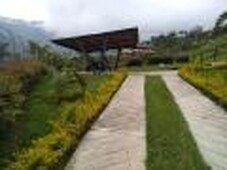 Finca en Venta en Cocorná, Antioquia