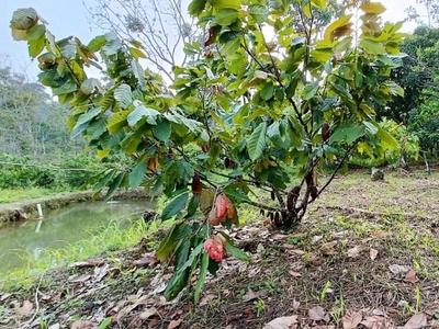 Finca en Venta en Zapatoca, Santander