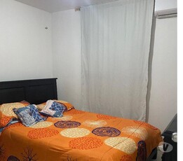 Arriendo apartamento festival vallenato