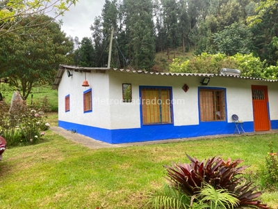 Finca en Venta, LA PRADERA