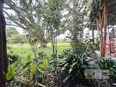 Exclusiva Villa en venta Rionegro, Colombia