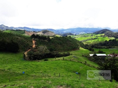 Villa / Chalet en venta La Ceja, Departamento de Antioquia