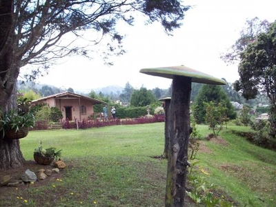 Finca a 1 kilómetro de Guarne.