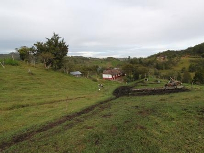 Finca San Vicente, entrada por el pueblo.