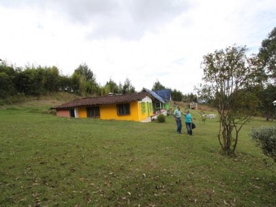 Vendo bella finca, Guarne.