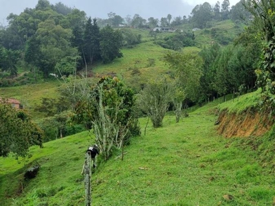 Finca en Venta en Bello, Antioquia
