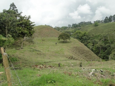 Finca en Venta en Filandia, Quindío