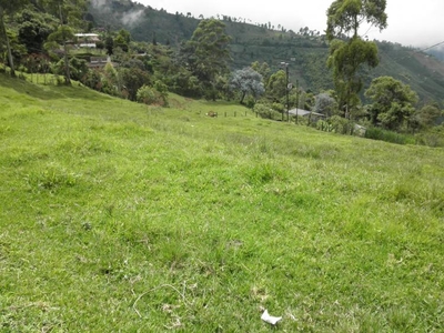 Finca en Venta en Fredonia, Antioquia