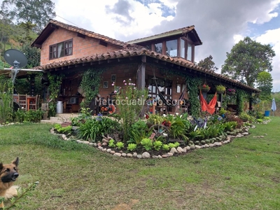 Finca en Venta