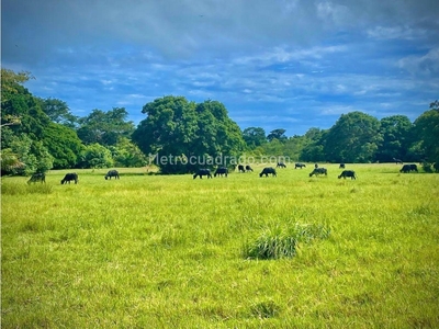 Finca en Venta, Uraba