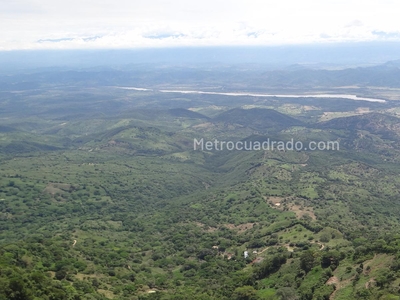 Finca en Venta, Vereda Ceniceros sector Piedra Capira