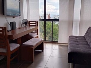 Apartamento en arriendo Alamos, Comuna Oriente, Pereira, Risaralda, Colombia