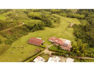 Cortijo de alto standing de 80000 m2 en venta Santa Rosa de Cabal, Colombia