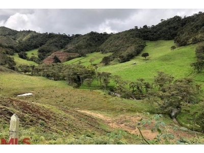Terreno / Solar en venta - La Ceja, Departamento de Antioquia