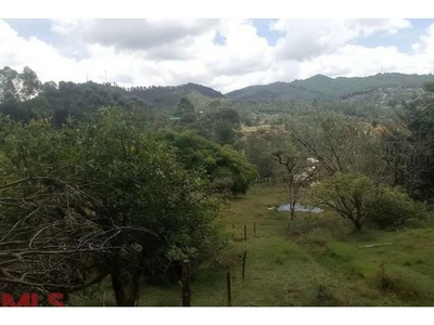 Terreno / Solar en venta - Retiro, Colombia
