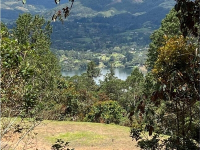 Terreno / Solar en venta - Rionegro, Departamento de Antioquia