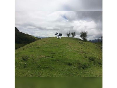 Terreno / Solar - Vijes, Departamento del Valle del Cauca