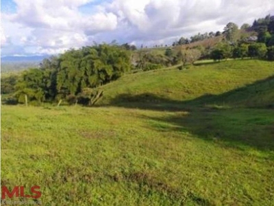 Terreno / Solar - Rionegro, Departamento de Antioquia