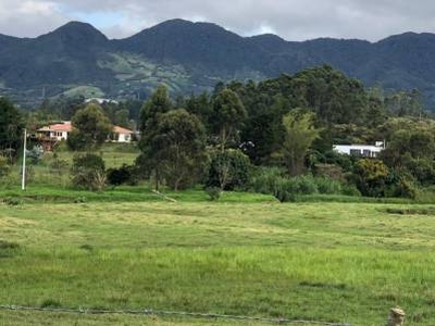 Terreno en venta en La Ceja, La Ceja, Antioquia
