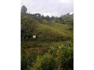 Terreno / Solar - Marinilla, Departamento de Antioquia