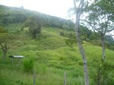 Finca en Venta en Heliconia, Antioquia
