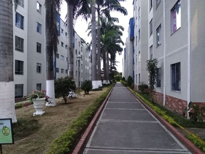 Apartamento en arriendo Calle 59 #7-61, Bucaramanga, Santander, Colombia