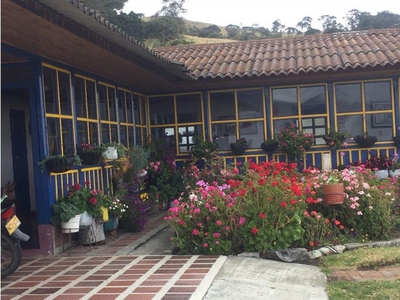 Cortijo de alto standing de 305 m2 en venta Tuluá, Departamento del Valle del Cauca