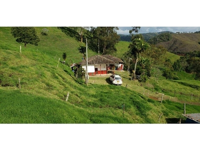 Cortijo de alto standing de 50 m2 en venta La Ceja, Departamento de Antioquia