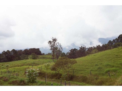 Cortijo de alto standing de 512000 m2 en venta Sasaima, Cundinamarca