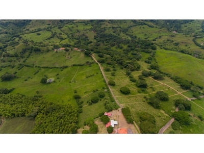 Cortijo de alto standing de 748800 m2 en venta Obando, Departamento del Valle del Cauca