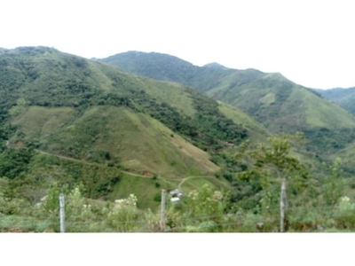 Cortijo de alto standing en venta Tuluá, Departamento del Valle del Cauca